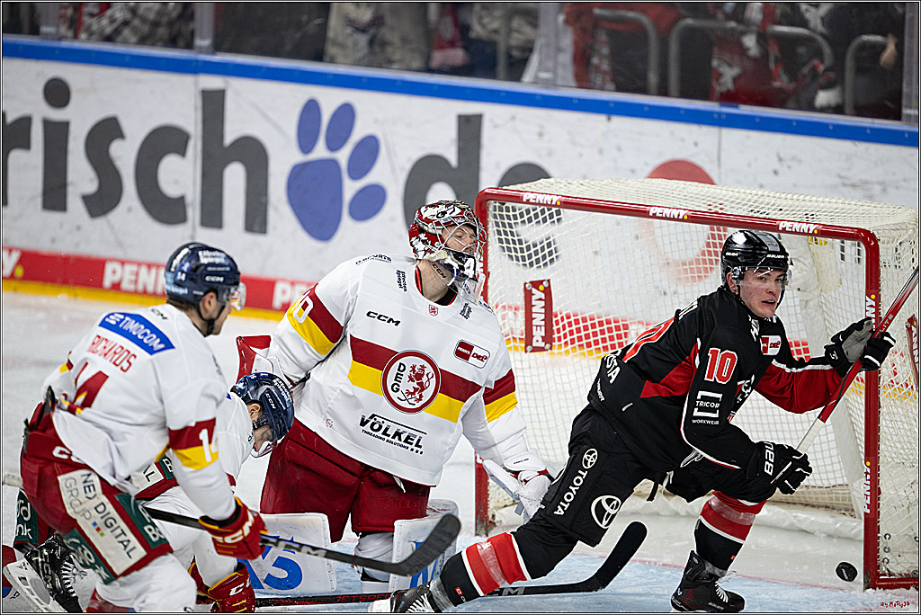 PENNY DEL 1; Kölner Haie - Düsseldorfer EG ; Köln, 16.02.2025